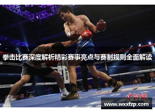 拳击比赛深度解析精彩赛事亮点与赛制规则全面解读
