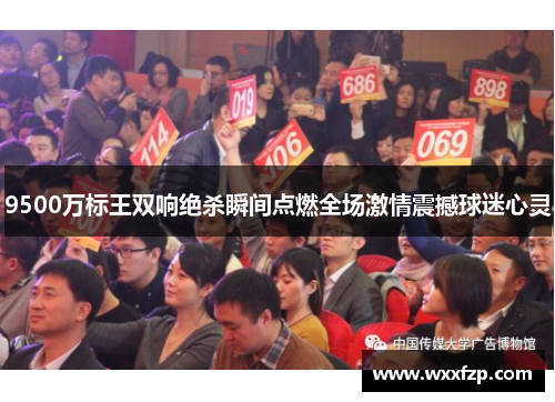 9500万标王双响绝杀瞬间点燃全场激情震撼球迷心灵