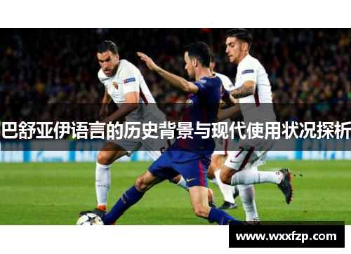 巴舒亚伊语言的历史背景与现代使用状况探析